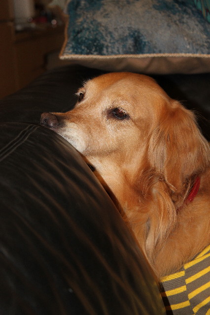 ファイル 2312-5.jpg