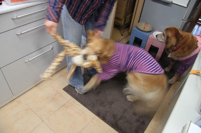 ファイル 2313-1.jpg