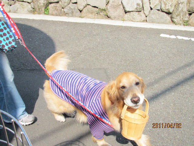 ファイル 2313-2.jpg