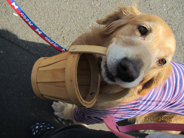 ファイル 2313-3.jpg