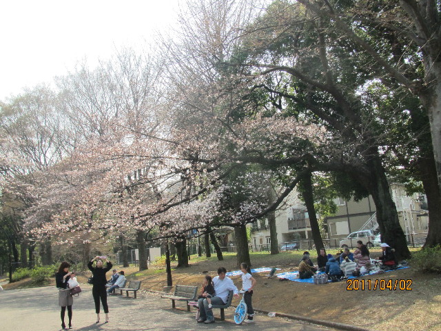 ファイル 2314-1.jpg