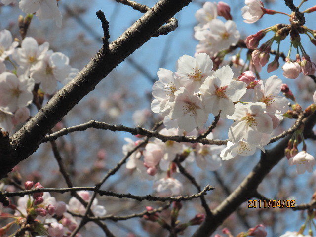 ファイル 2314-2.jpg