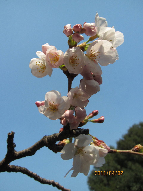 ファイル 2314-3.jpg