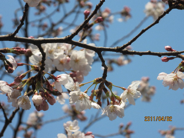 ファイル 2314-4.jpg