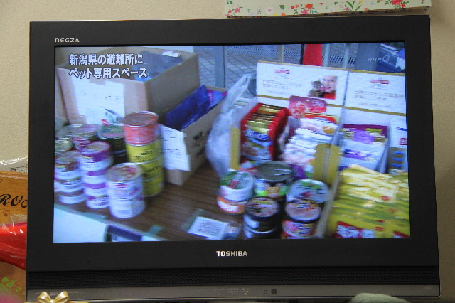 ファイル 2317-4.jpg