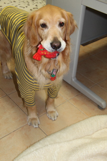 ファイル 2319-4.jpg