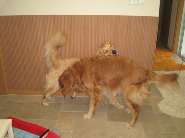 ファイル 232-2.jpg