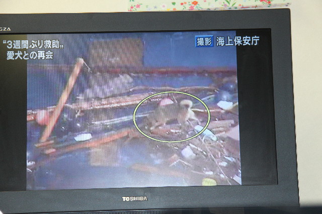 ファイル 2320-1.jpg