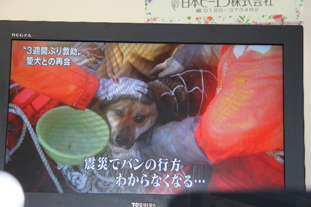 ファイル 2320-2.jpg