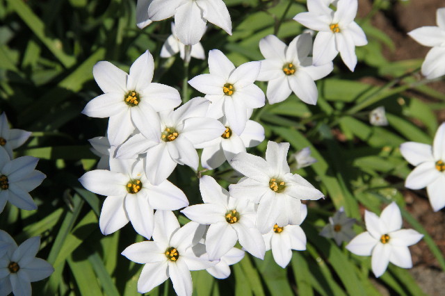 ファイル 2321-2.jpg