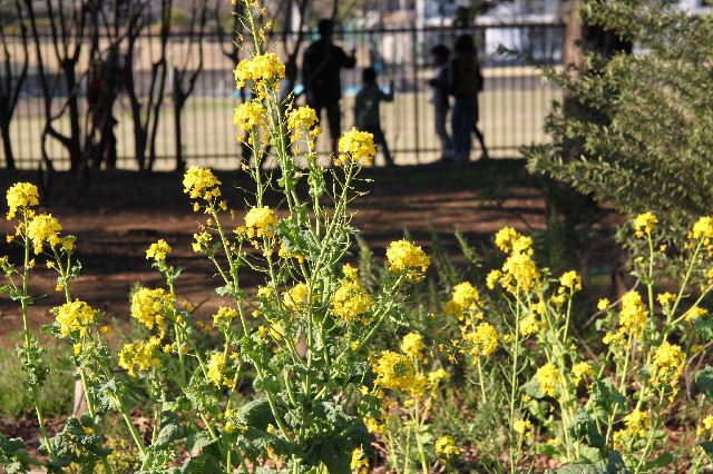 ファイル 2327-4.jpg