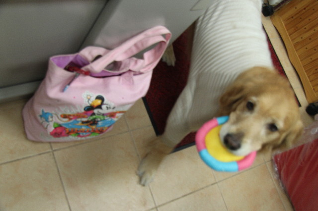 ファイル 2329-1.jpg