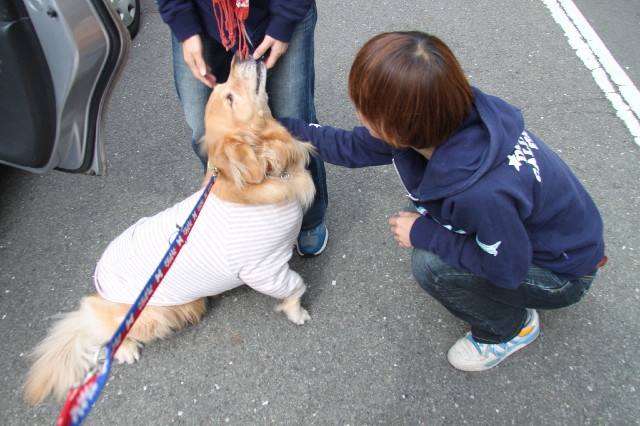 ファイル 2329-2.jpg