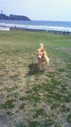 ファイル 2329-3.jpg