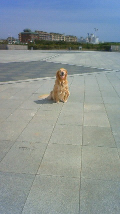 ファイル 2329-5.jpg