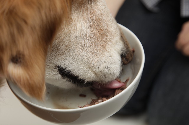 ファイル 2333-1.jpg