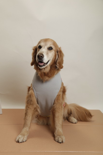 ファイル 2333-5.jpg