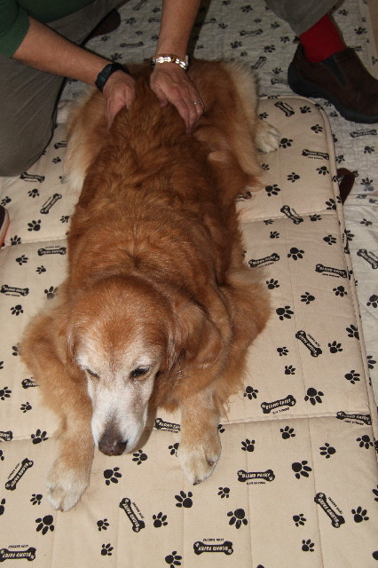 ファイル 2336-2.jpg