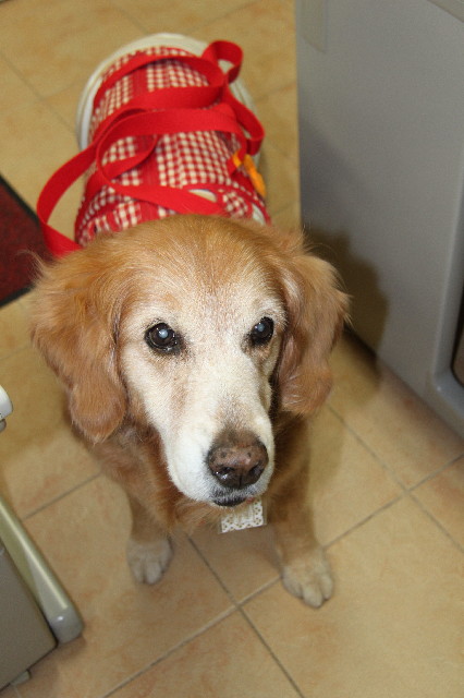 ファイル 2336-4.jpg