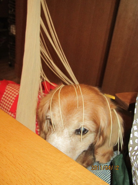 ファイル 2337-3.jpg