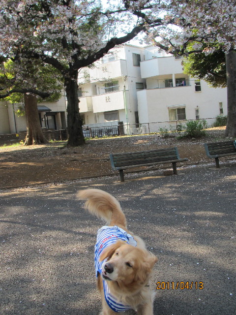 ファイル 2339-2.jpg