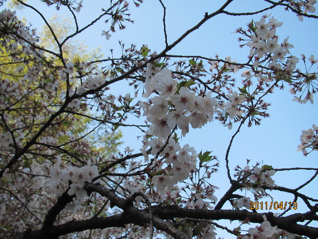 ファイル 2339-4.jpg