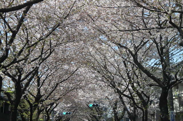 ファイル 2339-5.jpg