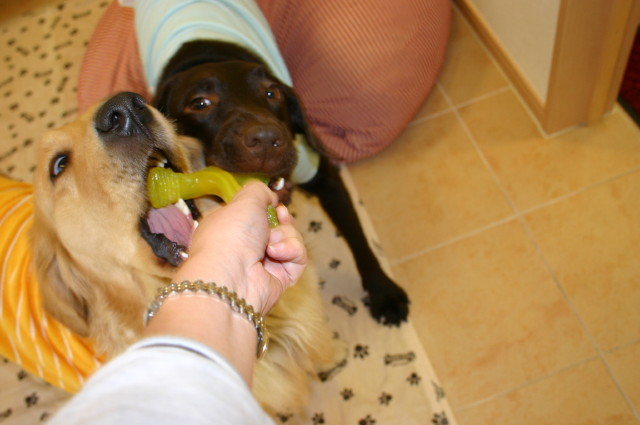 ファイル 234-5.jpg