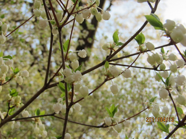 ファイル 2340-3.jpg