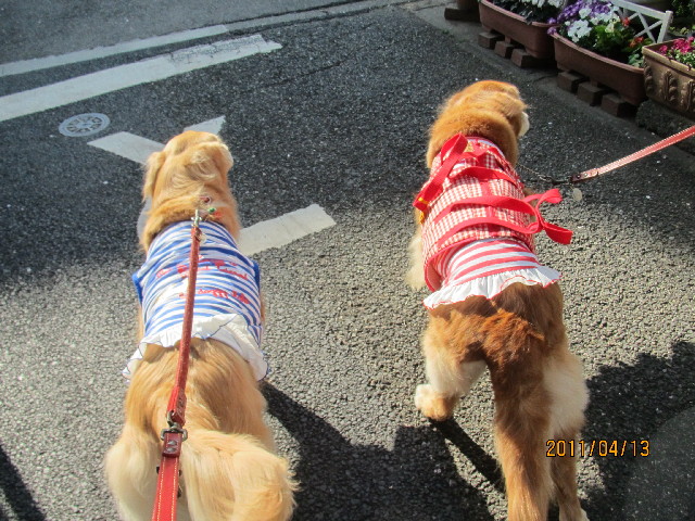 ファイル 2340-4.jpg