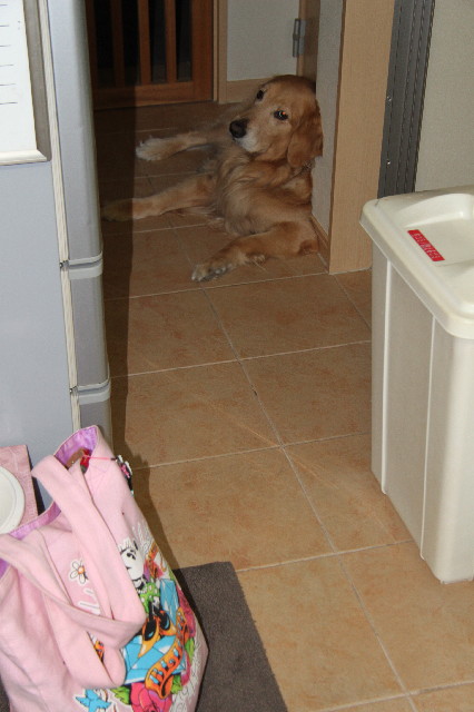 ファイル 2341-3.jpg