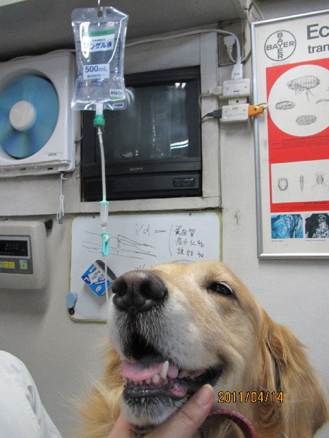 ファイル 2341-4.jpg