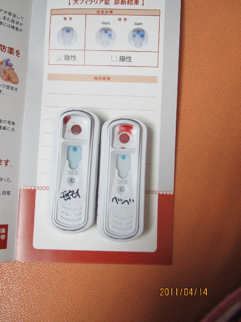 ファイル 2343-2.jpg