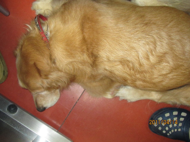 ファイル 2343-5.jpg