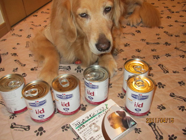 ファイル 2344-5.jpg