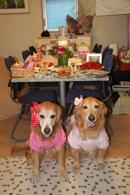 ファイル 2347-1.jpg