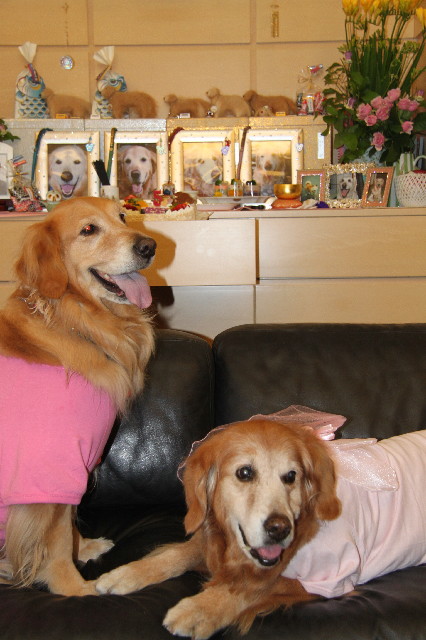 ファイル 2347-2.jpg