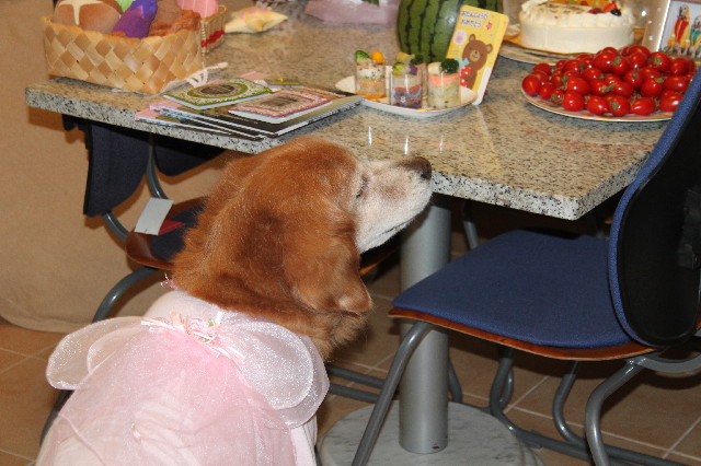 ファイル 2348-2.jpg