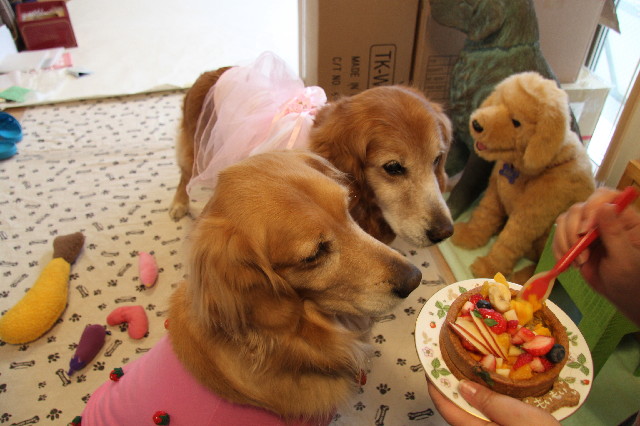 ファイル 2348-4.jpg