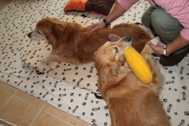 ファイル 2350-2.jpg