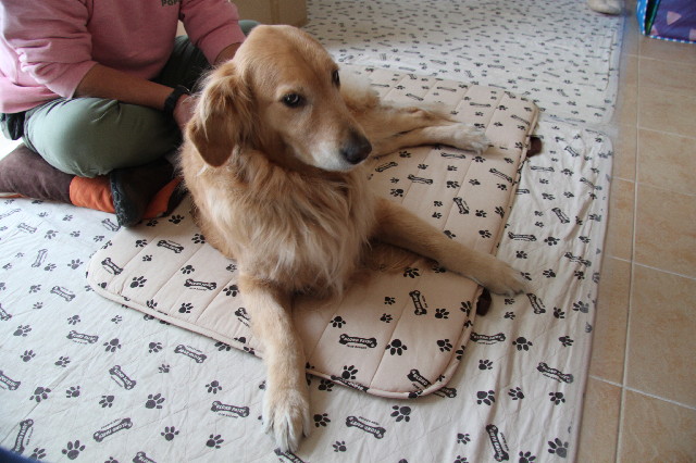 ファイル 2350-4.jpg