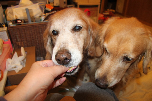 ファイル 2351-3.jpg