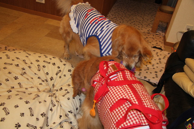 ファイル 2351-5.jpg