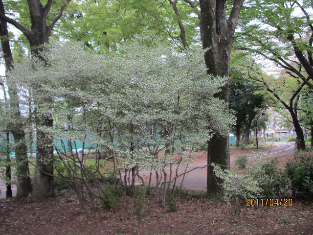 ファイル 2353-3.jpg