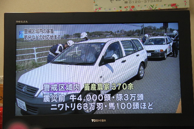 ファイル 2359-1.jpg