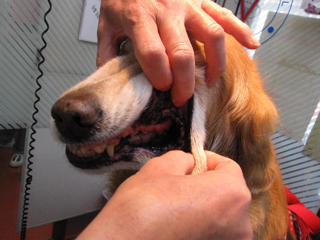 ファイル 2360-5.jpg