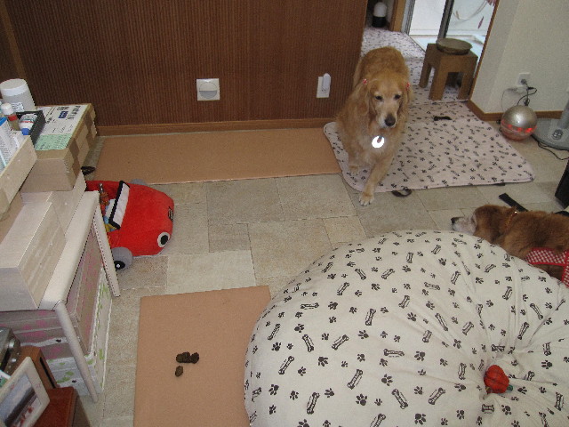 ファイル 2361-2.jpg