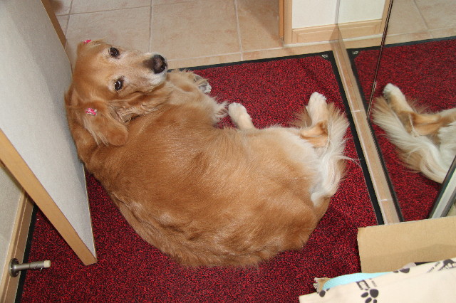 ファイル 2361-4.jpg