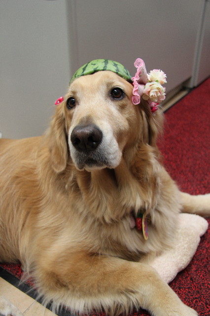 ファイル 2362-2.jpg