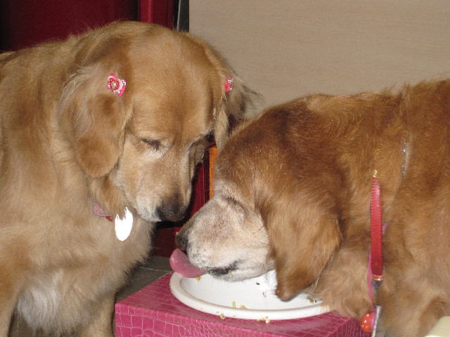 ファイル 2362-5.jpg